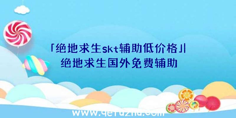 「绝地求生skt辅助低价格」|绝地求生国外免费辅助